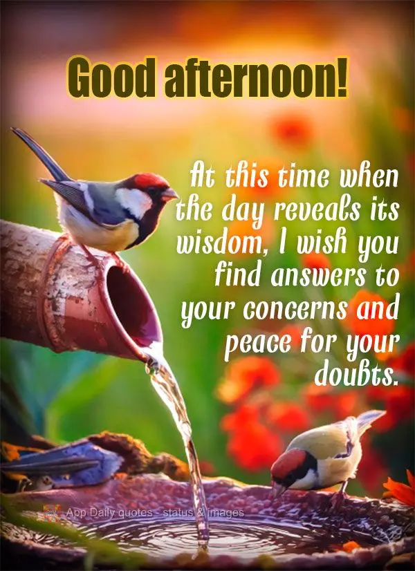 Nesta hora em que o dia revela sua sabedoria, desejo que você encontre respostas para suas inquietações e paz para suas dúvidas. Boa tarde!