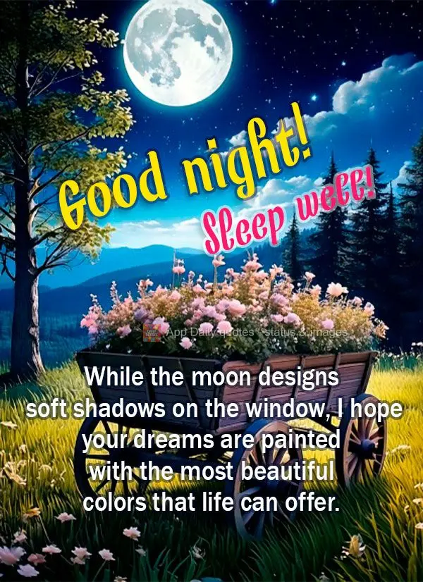 Enquanto a lua desenha sombras suaves pela janela, desejo que seus sonhos sejam pintados com as cores mais belas que a vida pode oferecer. Descanse bem! ...