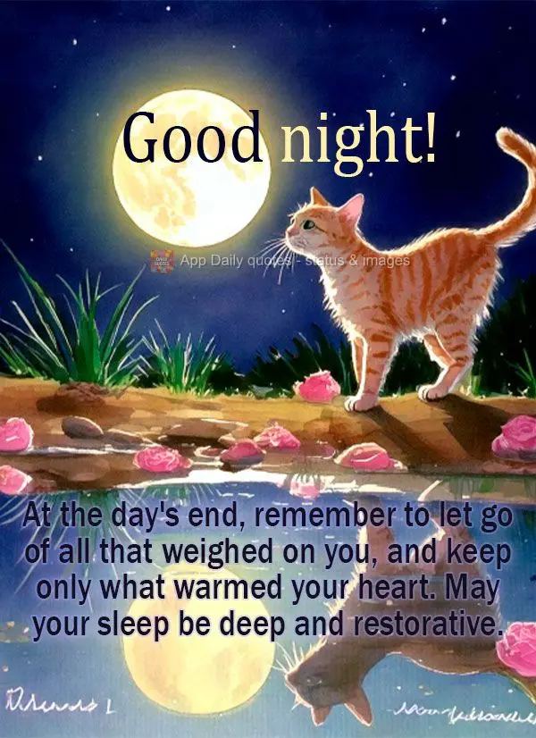 At the day's end, remember to let go of all that weighed on you, and keep only what warmed your heart. May your sleep be deep and restorative. Good night...