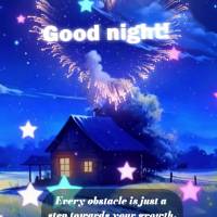 Cada obstáculo é apenas um degrau para o seu crescimento. Seja resiliente e ao amanhecer tente de novo! Boa noite! 