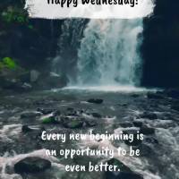 Cada recomeço é uma oportunidade para ser ainda melhor. Feliz Quarta-feira!