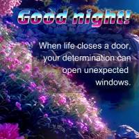 Quando a vida fecha uma porta, sua determinação pode abrir janelas inesperadas. Boa noite!
