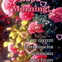 Sua determinação atual determina suas conquistas futuras. Continue firme no seu propósito. Bom dia! 