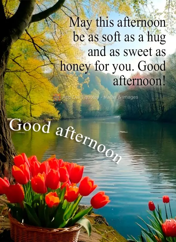 Que esta tarde seja suave como um abraço e doce como mel para você. Boa tarde! Boa tarde