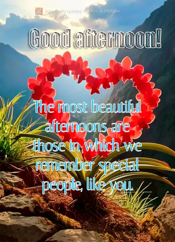As tardes mais bonitas são aquelas em que nos lembramos das pessoas especiais, como você. Boa tarde!