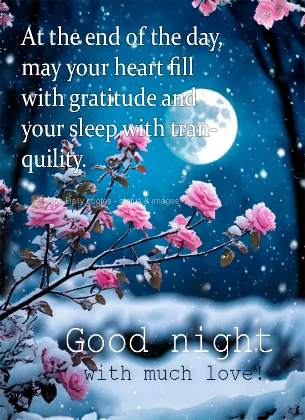 At the end of the day, may your heart fill with gratitude and your sleep with tranquility. Good night with much love!