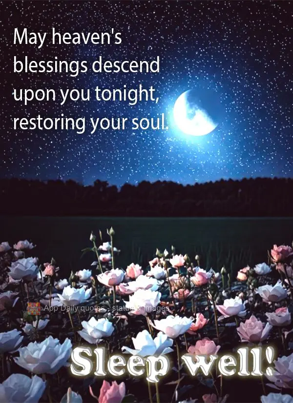 Que as bênçãos do céu desçam sobre você nesta noite e tragam renovação para sua alma.  Durma bem!