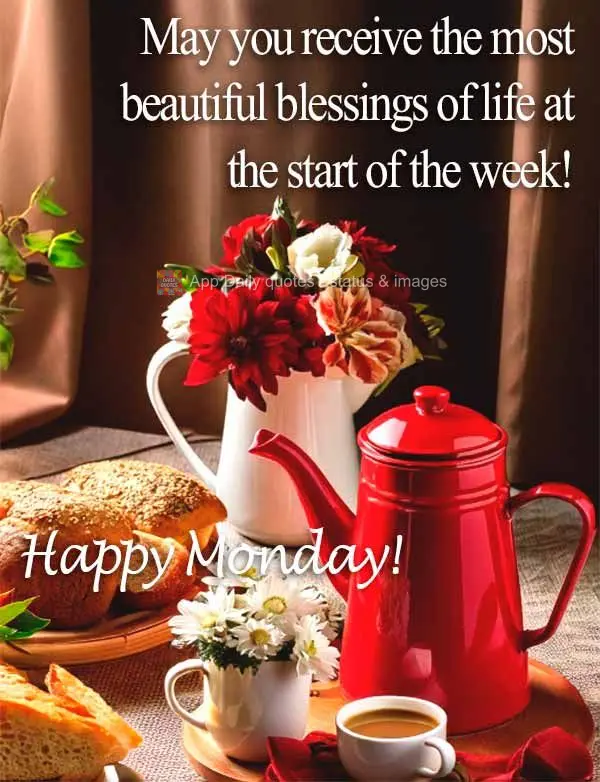 May you receive the most beautiful blessings of life at the start of the week! Happy Monday!