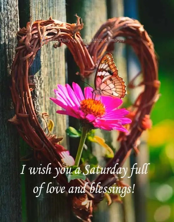 Desejo um Sábado de muito amor e bênçãos!