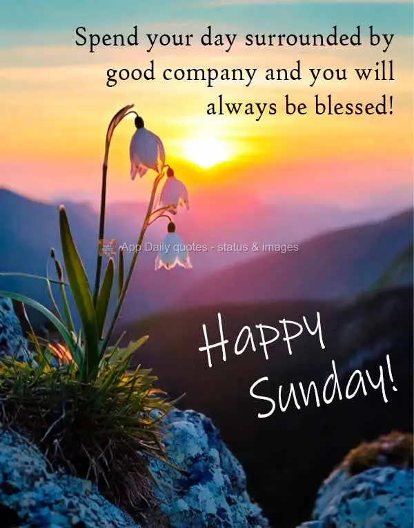 Spend your day surrounded by good company and you will always be blessed! Happy Sunday!
