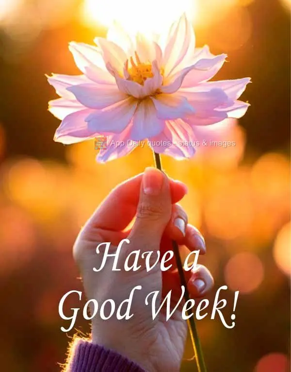 Tenha uma Boa Semana!