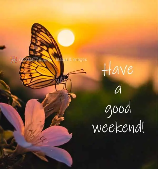 Have a good weekend!