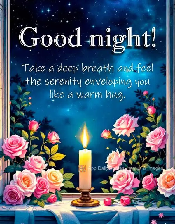 Respire fundo e sinta a serenidade envolvendo você como um abraço caloroso. Boa noite!