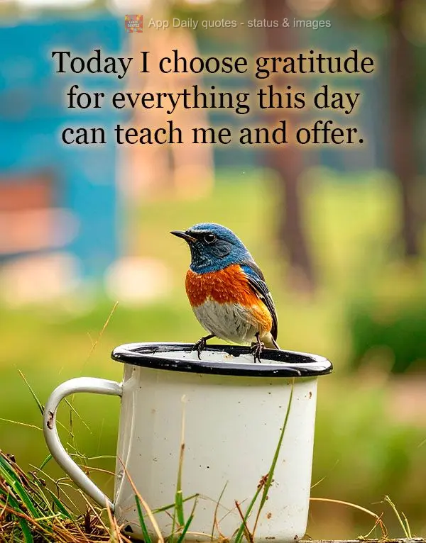 Today I choose gratitude for everything this day can teach me and offer.
