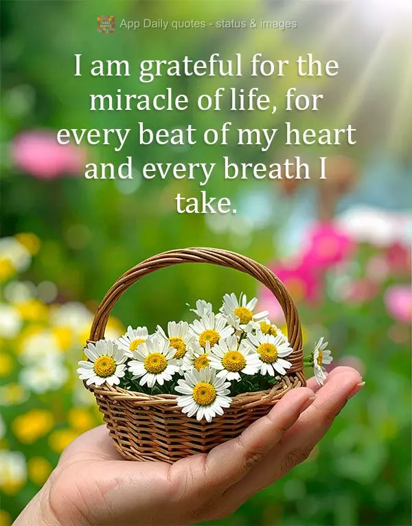 Sou grata pelo milagre da vida, por cada batimento do meu coração e cada respiração.