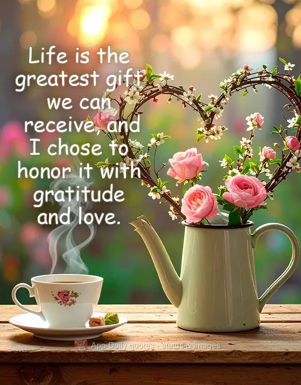 A vida é o maior presente que recebemos, e escolho honrá-la com gratidão e amor.