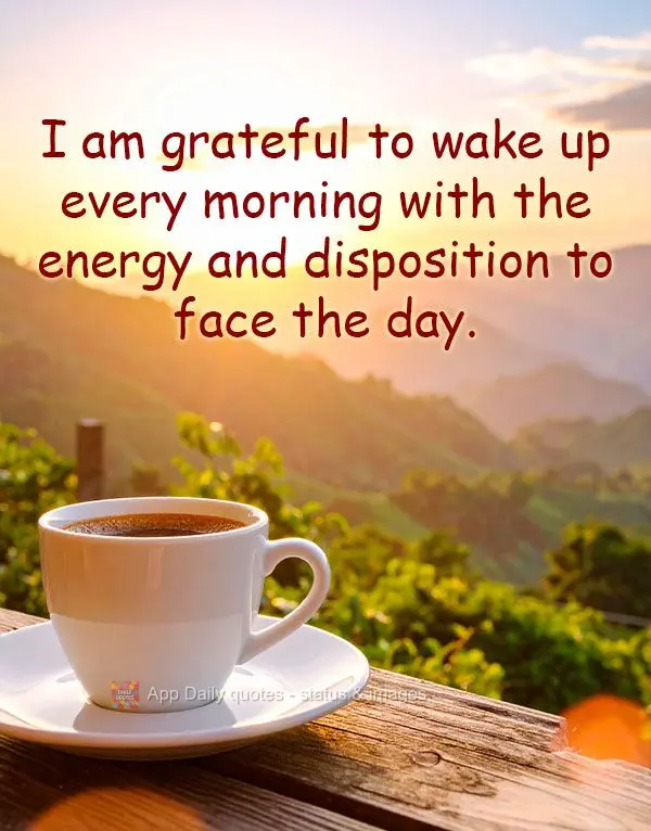Sou grato por acordar cada manhã com energia e disposição para enfrentar o dia.