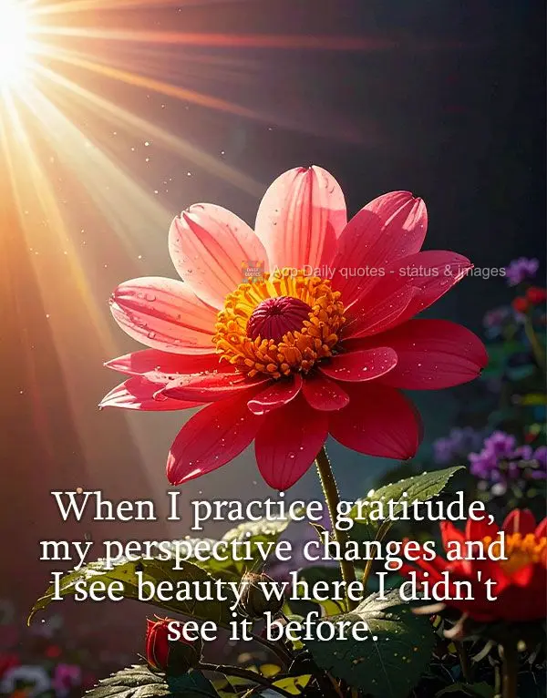 When I practice gratitude, my perspective changes and I see beauty where I didn't see it before.