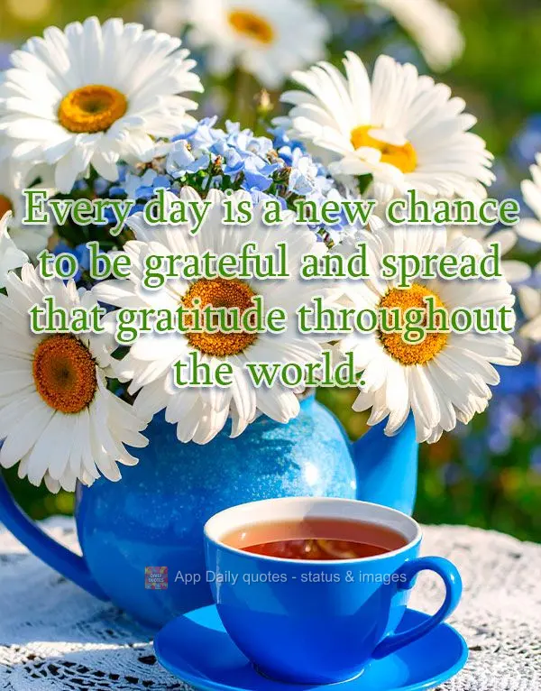 Every day is a new chance to be grateful and spread that gratitude throughout the world.