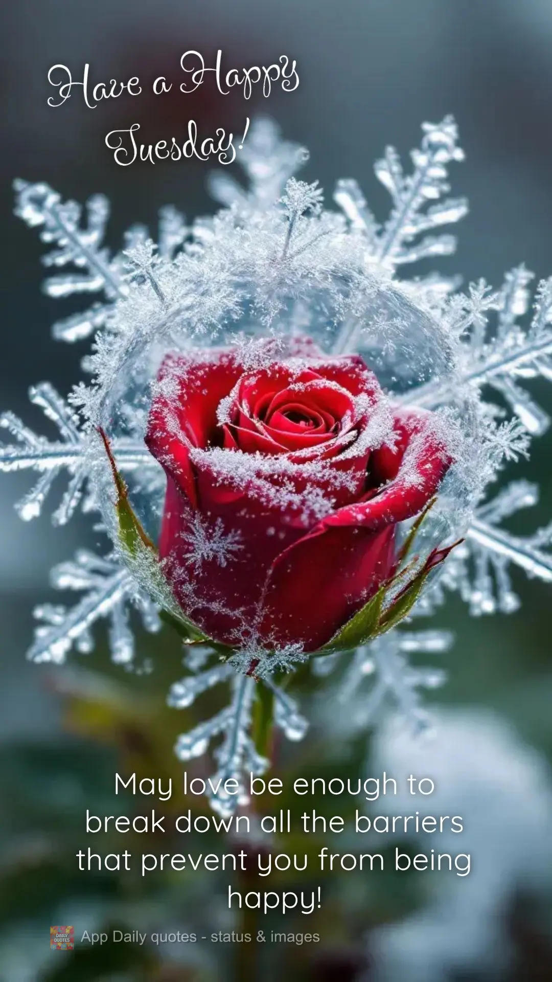 May love be enough to break down all the barriers that prevent you from being happy! Have a Happy Tuesday!