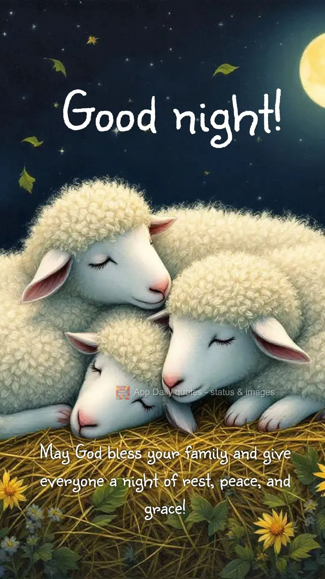 Que Deus abençoe a sua família, e permita que todos tenham uma noite de descanso, tranquilidade e bênção! Boa noite!