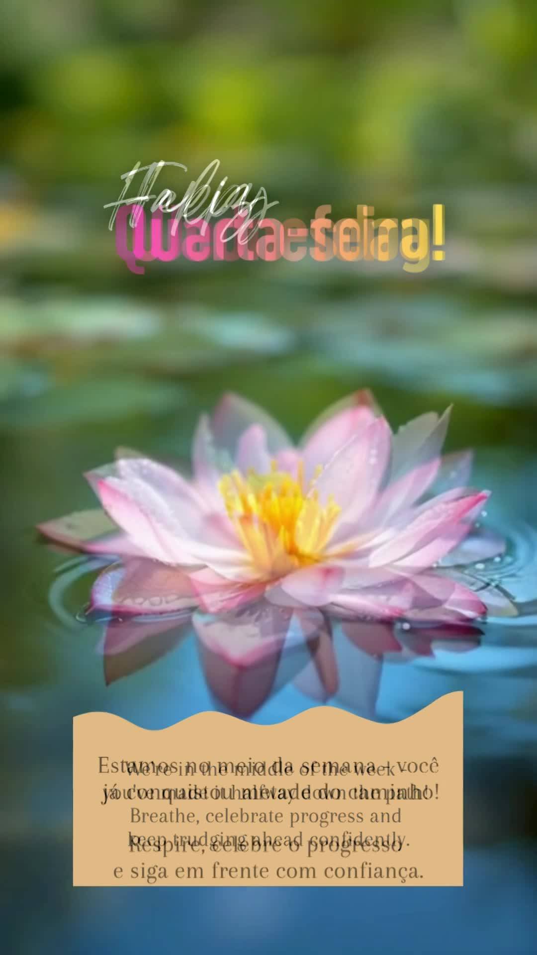 Estamos no meio da semana - você já conquistou metade do caminho! Respire, celebre o progresso e siga em frente com confiança. Feliz Quarta-feira!