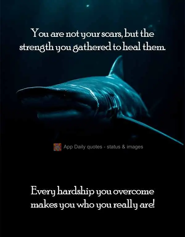 Você não é as suas cicatrizes, mas a força que teve para curá-las. Cada dificuldade superada te torna quem você realmente é!