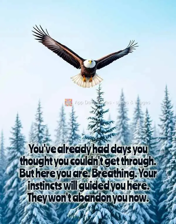 You've already had days you thought you couldn't get through. But here you are. Breathing. Your instincts will guided you here. They won't abandon you no...