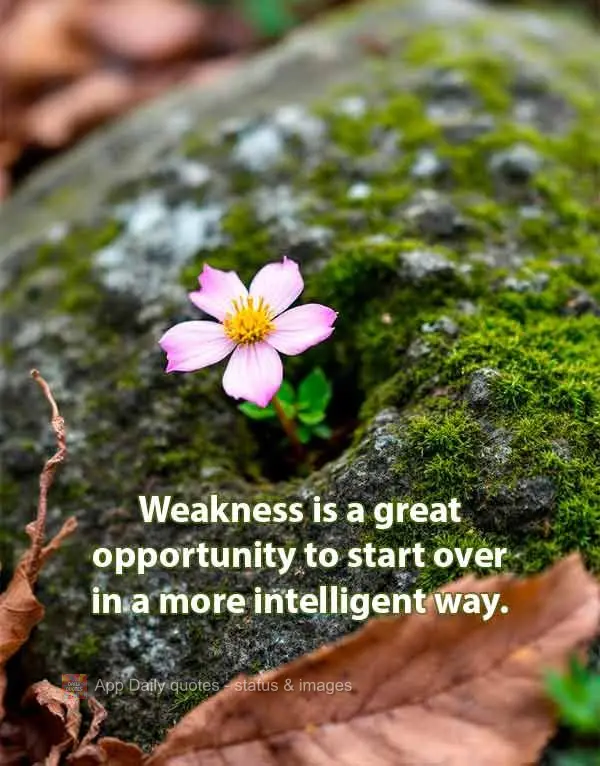 O fracasso é uma ótima oportunidade para começar de novo de forma mais inteligente