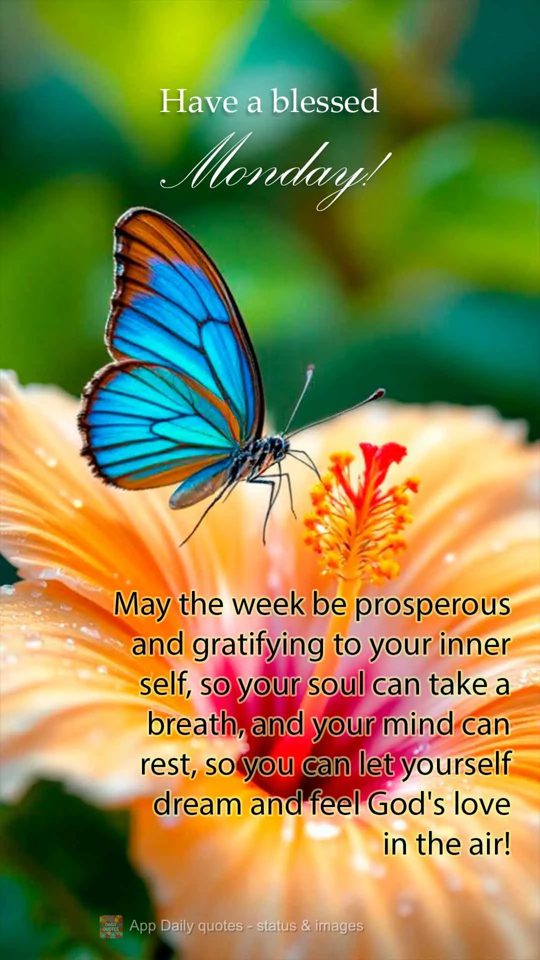 Que a semana seja próspera e gratificante para o seu "eu" interno, para sua alma respirar e sua mente descansar, para você se permitir sonhar e sentir ...