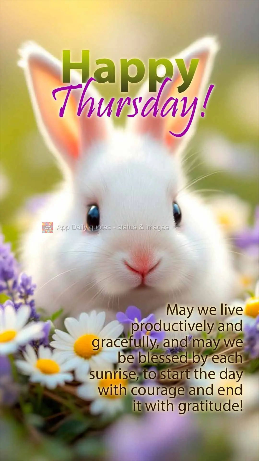 May we live productively and gracefully, and may we be blessed by each sunrise, to start the day with courage and end it with gratitude! Happy Thursday!...