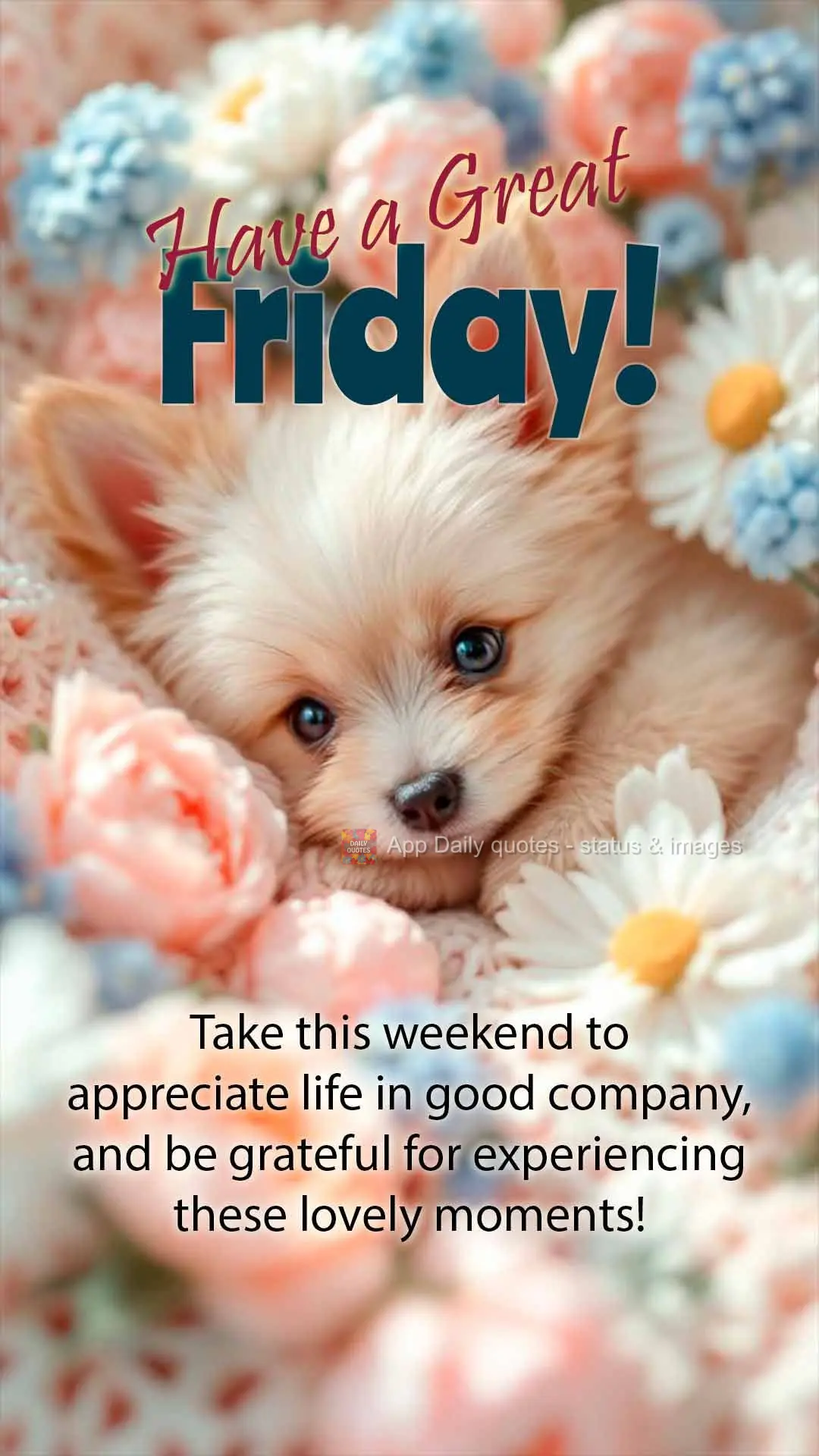 Aproveite este final de semana para apreciar a vida com as melhores companhias, e seja grato por viver lindos momentos! Ótima Sexta-feira!