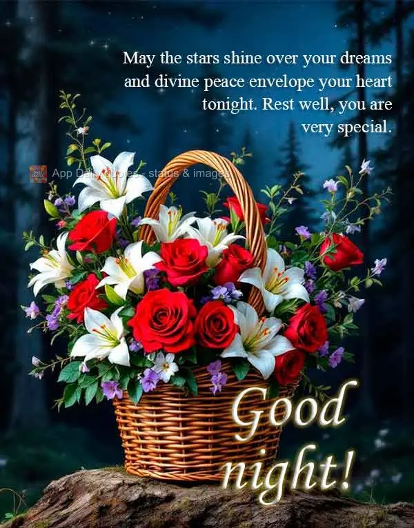 Que as estrelas iluminem seus sonhos e a paz divina embale seu coração nesta noite. Descanse bem, você é muito especial. Boa noite!