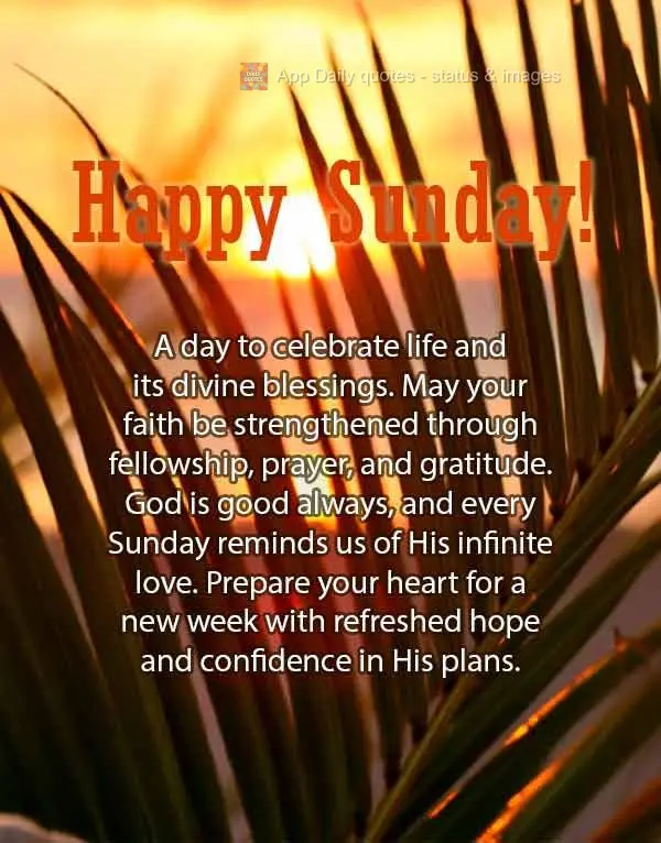 Dia de celebrar a vida e as bênçãos divinas. Que sua fé se fortaleça na comunhão, na oração e na gratidão. Deus é bom o tempo todo, e cada domi...