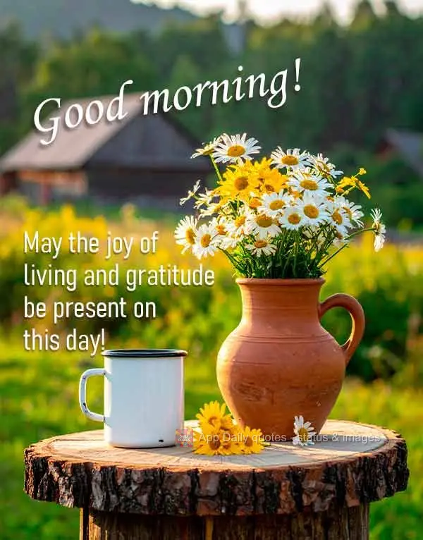 Que se faça presente neste dia a alegria de viver e a gratidão! Bom dia!