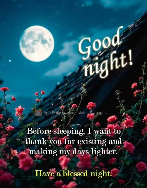 Antes de dormir, quero te agradecer por existir e fazer meus dias mais leves. Tenha uma noite abençoada. Boa noite!