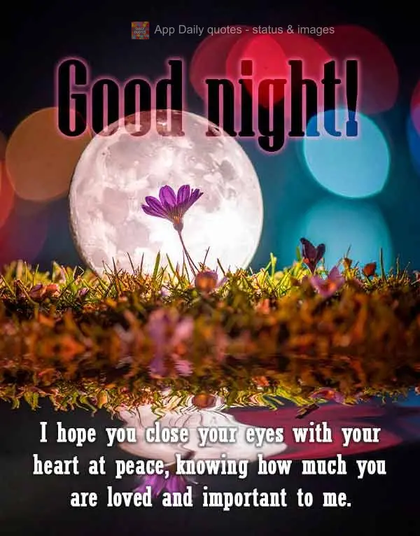 Espero que você feche os olhos com o coração em paz, sabendo o quanto é amado e importante. Boa noite!