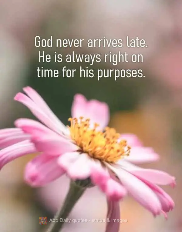 Deus nunca chega atrasado, Ele é sempre pontual nos Seus propósitos.