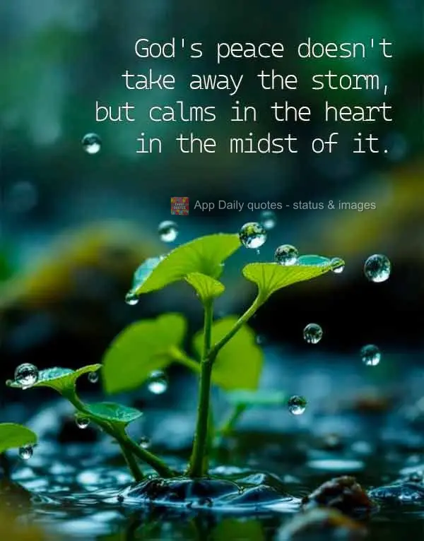 God's peace doesn't take away the storm, but calms in the heart in the midst of it.