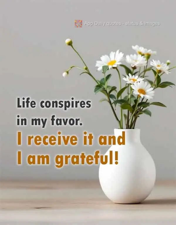 A vida conspira a meu favor. Eu recebo e agradeço!