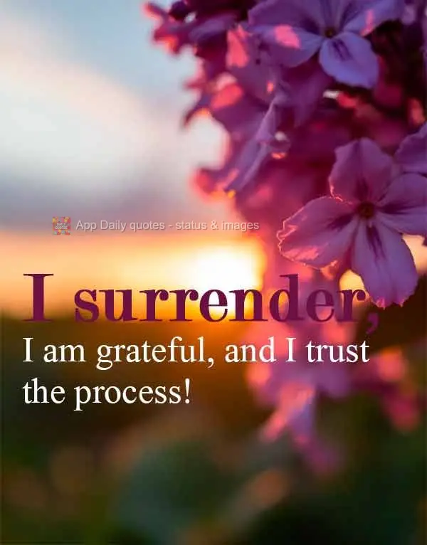 Entrego, agradeço e confio no processo!