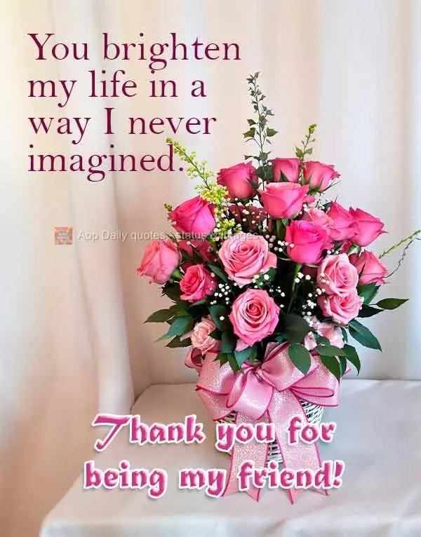 Você ilumina minha vida de um jeito que nem imagina. Muito obrigado pela sua amizade!