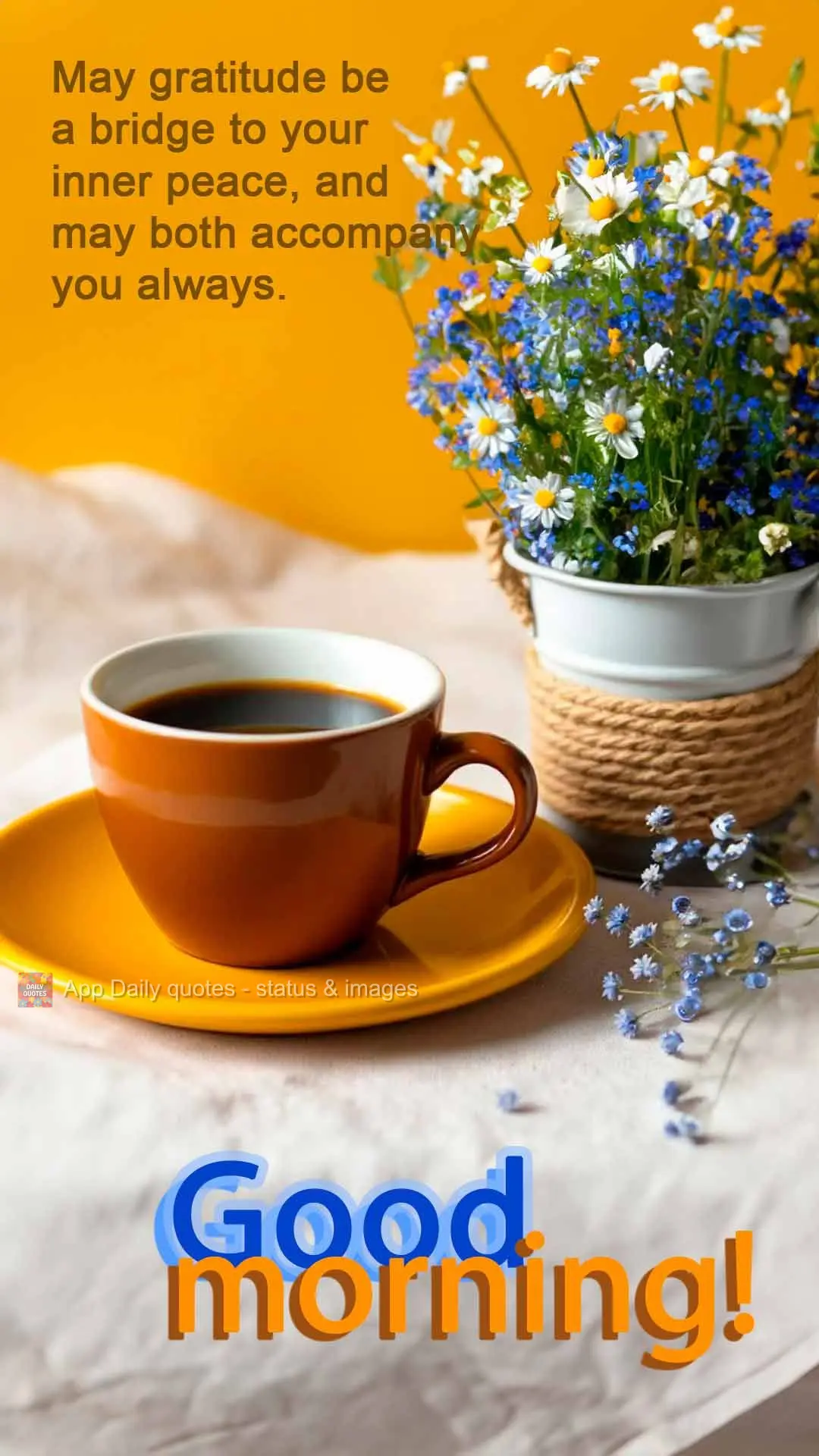 Que a gratidão seja a ponte para sua paz interior, e que ambas te acompanhem em todos os momentos. Bom dia!