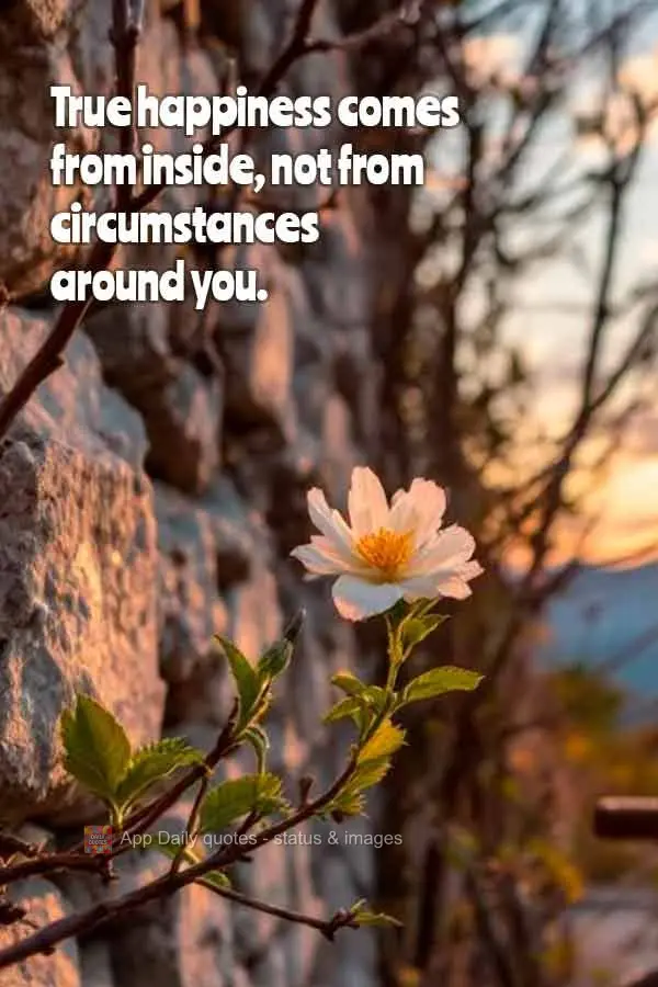 A felicidade verdadeira vem de dentro, não das circunstâncias ao redor.