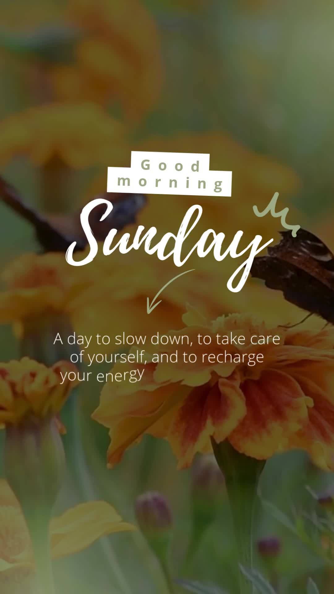 É dia de desacelerar, cuidar de si e recarregar as energias. Que seu domingo seja de paz, amor e boas vibrações! Bom dia Domingo 