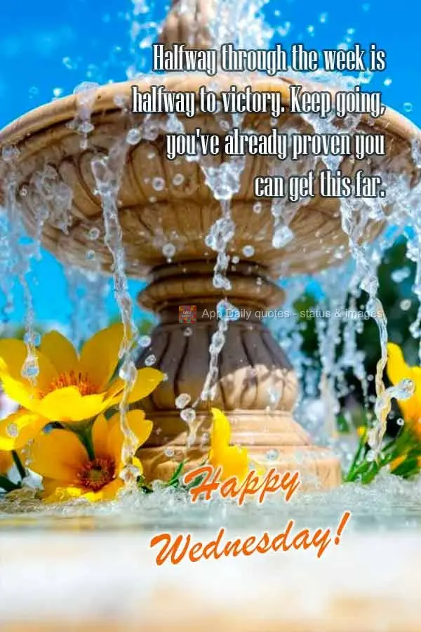 Metade da semana é metade da vitória. Continue, você já provou que consegue chegar até aqui. Feliz Quarta-feira!