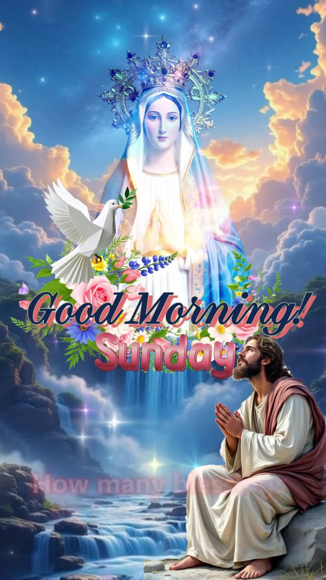 Neste domingo, meu coração transborda de gratidão a Deus por tudo que Ele tem feito em minha vida. Obrigado, Senhor, por mais um dia de vida, por cada...