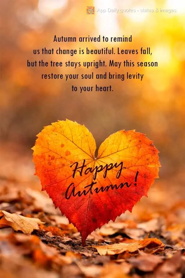 O outono chegou para nos lembrar que mudar é bonito. As folhas caem, mas a árvore continua de pé. Que esta estação renove sua alma e traga leveza pa...
