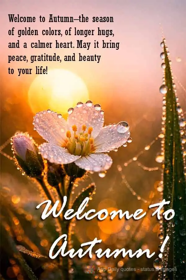 Bem-vindo ao outono — a estação das cores douradas, dos abraços mais longos e do coração mais tranquilo. Que ela traga paz, gratidão e muita bele...