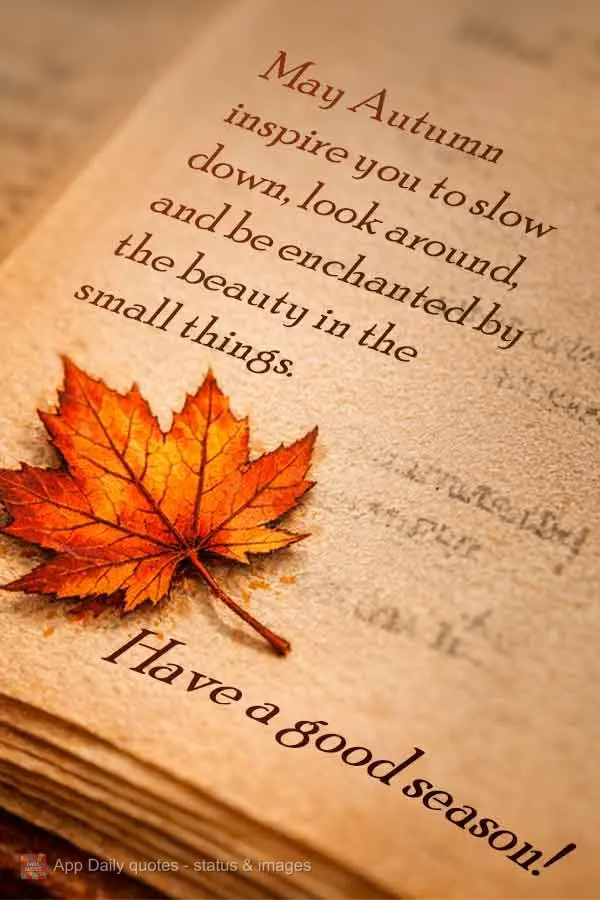 Que o outono inspire você a desacelerar, olhar ao redor e se encantar com a beleza das pequenas coisas. Boa estação!